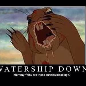 Meet your Posher, Deann